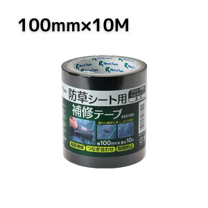 Ce[v hV[gpCe[v 100mm×10M #601BN