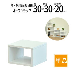 I[vbN ؐ 30 s30 20cm Hsv  [  bN XpCX Lb` fBXvC R~bN CD DVD u[C PC TV er G A4t@C  ^   