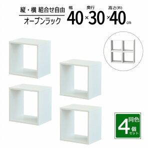 I[vbN ؐ 40 Hsv 4Zbg [  bN XpCX Lb` fBXvC R~bN CD u[C TV er G A4t@C  ^    OPR-4040OKW