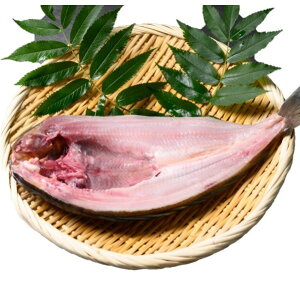 ^ق J kCY 21Zbg Mtg v[g 蕨 