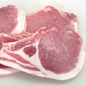 ܂|[N [X Xe[L Ƃ񂩂pJbg ؂ XY 600g