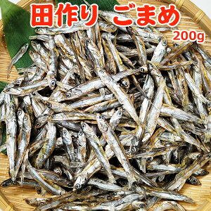  1,920~IN[|20OFFIc ܂ 200g TCY I 퉷 lR|X 