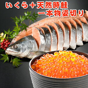 {{p؂ 1.8kg  Mtg ϔ 񂹃Oʌ