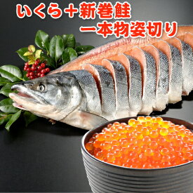 2023年新物！いくら 200g＋北海道産 新巻鮭一本物 姿切り 送料無料 新巻き鮭