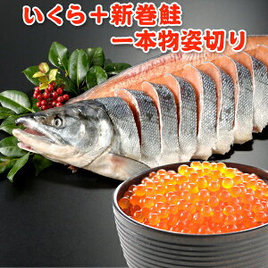  200g{kCY V{ p؂  Vʌ聚115ȍ~̏oׂɂȂ܂