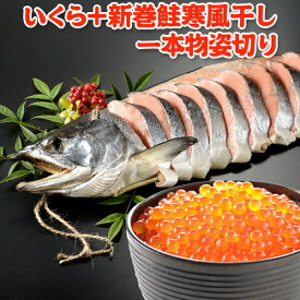 いくら 200g＋北海道産 新巻鮭寒風干し一本物 姿切り 送料無料