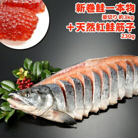 2023年新物！北海道産 新巻鮭一本物 姿切り＋天然紅鮭塩筋子 230g 送料無料 新巻き鮭