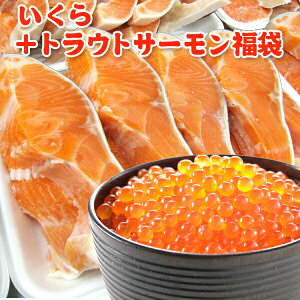  ݖЂ AXJ 200g gEgT[ 5  񂹃O  ؂g