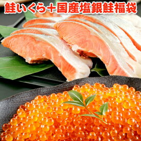 お歳暮ギフト 超得 8,999円！クーポン10％OFF！ いくら 醤油漬け アラスカ 200g 国産銀鮭 10切 送料無料 お取り寄せグルメ 鮭 切り身
