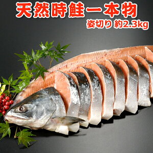 VR{ p؂ 2.3kg  ϔ 񂹃O Mtgʌ