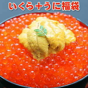  7,399~IN[|600~OFFI ݖЂ AXJ 200g  100g   CNMtg CNZbg 񂹃O Mtg v[g