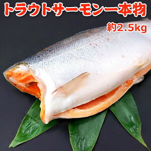 14,999~IN[|1,000~OFFIgEgT[ { 2.5kg Ȃ  񂹃Oʌ聚115ȍ~̏oׂɂȂ܂