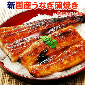 新 国産 うなぎ蒲焼き 約170g×4尾 送料無料 ふっくらやわらか 鹿児島産 土用丑の日 海鮮 グルメ ギフト