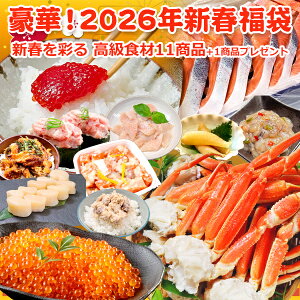 Ε Mtg  14,999~ KN[|65OFFI؁I2026N Vt  100 񂹃O v[g CNZbg  Hi  CN Mtg 125`14 