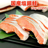 半額！8,999円！メガ得クーポン50％OFF！国産塩銀鮭 2kg 20切（10切×2）送料無料 専門店おすすめの国産…