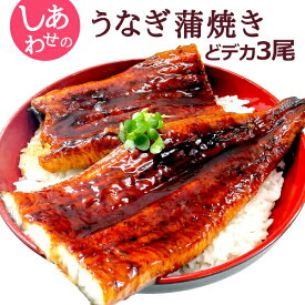 超得 8,999円！クーポン30％OFF！どデカ3尾 しあわせのうなぎ蒲焼き 超ド級特大 約1kg（約340g×3尾）ふっくらやわらか中国産 送料無料 お取り寄せグルメ 土用丑の日