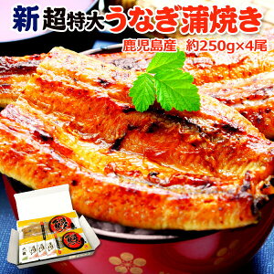 Y V  Y ȂĂ 250g×4  Mtg{bNXt CN v[g O Mtg