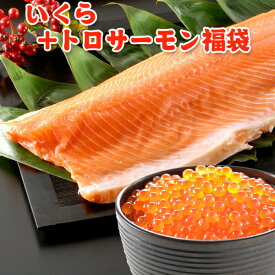 いくら 醤油漬け アラスカ 200g トロサーモン 半身 800g 送料無料 福袋 お取り寄せグルメ