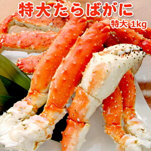 2020:00X^[g_zN[|I9,999~^^oKj 1kg  ςȂIȒP HOKI΂ 󂠂 ^o  Jj I񂹃O CN v[g Mtg