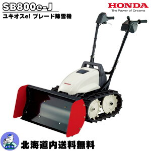 K戵X kC Е @ z_ GW d u[h@ LIXe [d SB800e ᕝ80cm