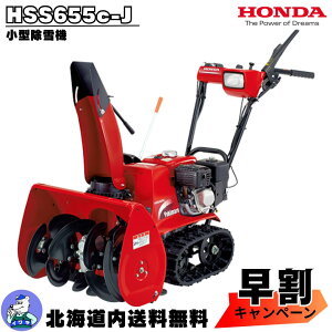 yLy[{I11/20܂Łz@ ƒp z_ HSS655c-J ^ GW ZX^[gdl ᕝ55cm  kCy[i9ȍ~z