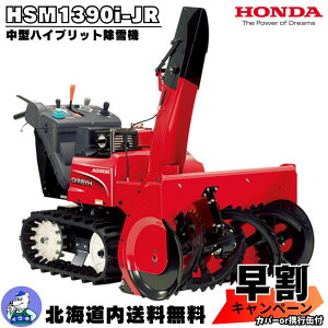 y11/1`11܂ōő30000~OFFzyLy[{I11/20܂Łz@ ƒp z_ HSM1390i-JR ^ GW nCubh I[K[Odl ᕝ92cm kC