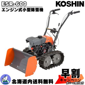 y11/1`11܂ōő30000~OFFzyLy[{I11/20܂Łz@ ƒp Hi ESR-600 GW ^@ u[h^ kC