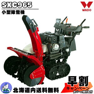 yLy[{I11/20܂ŁzK戵X kC Е @ ƒp ^ a GW ^@ SXC965