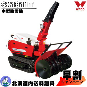 yLy[{I11/20܂ŁzK戵X kC Е @ ƒp ^ a GW ^@ SX1811T