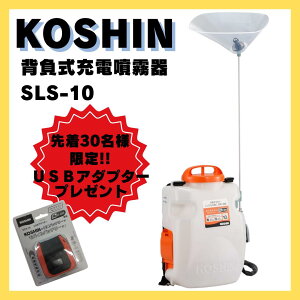 y撅30lIUSBA_v^[1v[gLy[zHi w[d SLS-10i250004025j