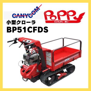 ^ ^ LjR ^N[^ԃsNfBg|s[h BP51CFDS