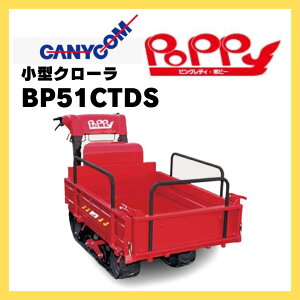 �^���� ���^ �L���j�R�� ���^�N���[���^���ԃs���N���f�B�g�|�s�[�h BP51CTDS