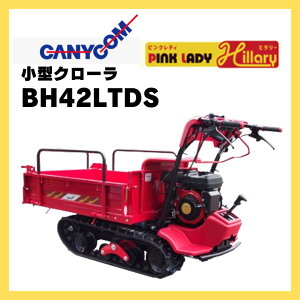 ^ s^  LjR s()^N[^ԃsNfB^q[ BH42LTDS ^OJdl