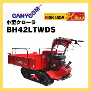 ^ s  LjR s()^N[^ԃsNfB^q[ BH42LTWDS ^OJChdl