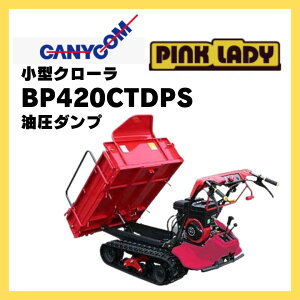 ^ s^ LjR s^N[^ԃsNfB _v BP420CTDPS