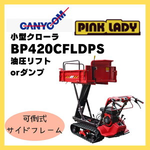 ^ s^ LjR s^N[^ sNfB tgor_v BP420CFLDPS