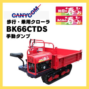 ^ LjR 蓮_v _Ɖ^ sEpN["k̏tEEE" BK66CTDS