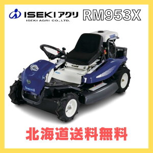 �C�Z�L�A�O�� ��p�����@ RM953X HST�d�l ��p���A