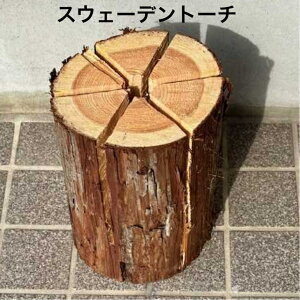 XEF[fg[` Lv AEghA hЗpi d  ȒP\ q[O Ƃ Lvt@C[