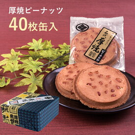 【送料無料】厚焼せんべいピーナッツ 【40枚缶入】【ネット限定】佐々木製菓