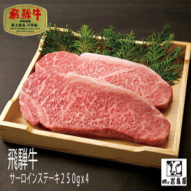 牛肉 和牛 飛騨牛 250g x 4 サーロインステーキ ギフト 景品 内祝 贈り物 プレゼント高等級 高級 上質 特選 厳選 / 飛騨牛 250g x 4 サーロインステーキ / 岐阜県 恵那市 岩島屋