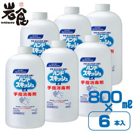 【送料無料】ハンドスキッシュEX　手指消毒剤　つめかえ用　800ml×6本入