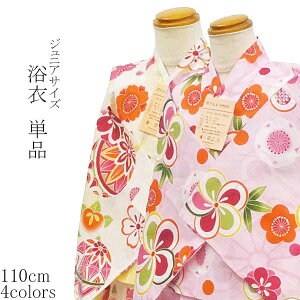 S4F WjATCY  Pi 110TCY