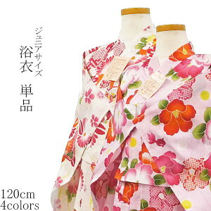 S4F WjATCY  Pi 120TCY