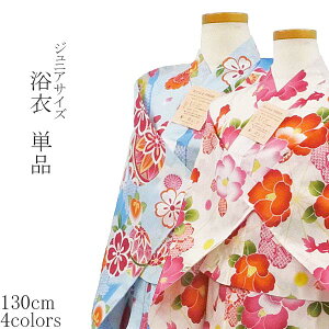 S4F WjATCY  Pi 130TCY