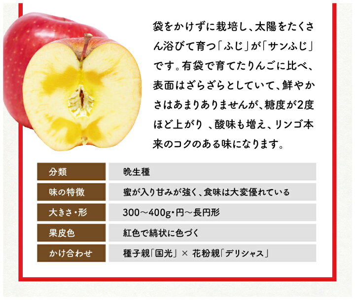楽天市場 お歳暮 ギフト 青森産 特上 サンふじ りんご 5kg 16 玉入 岩田青果 リンゴ 林檎 青森リンゴ サンフジ 詰め合わせ 青森県産 青森 国産 果物 くだもの フルーツ 名産 お取り寄せ ご当地 化粧箱 箱入り ギフト 御祝 お祝い 贈答 贈答品 プレゼント 贈り物