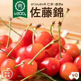 楽天市場 さくらんぼの通販