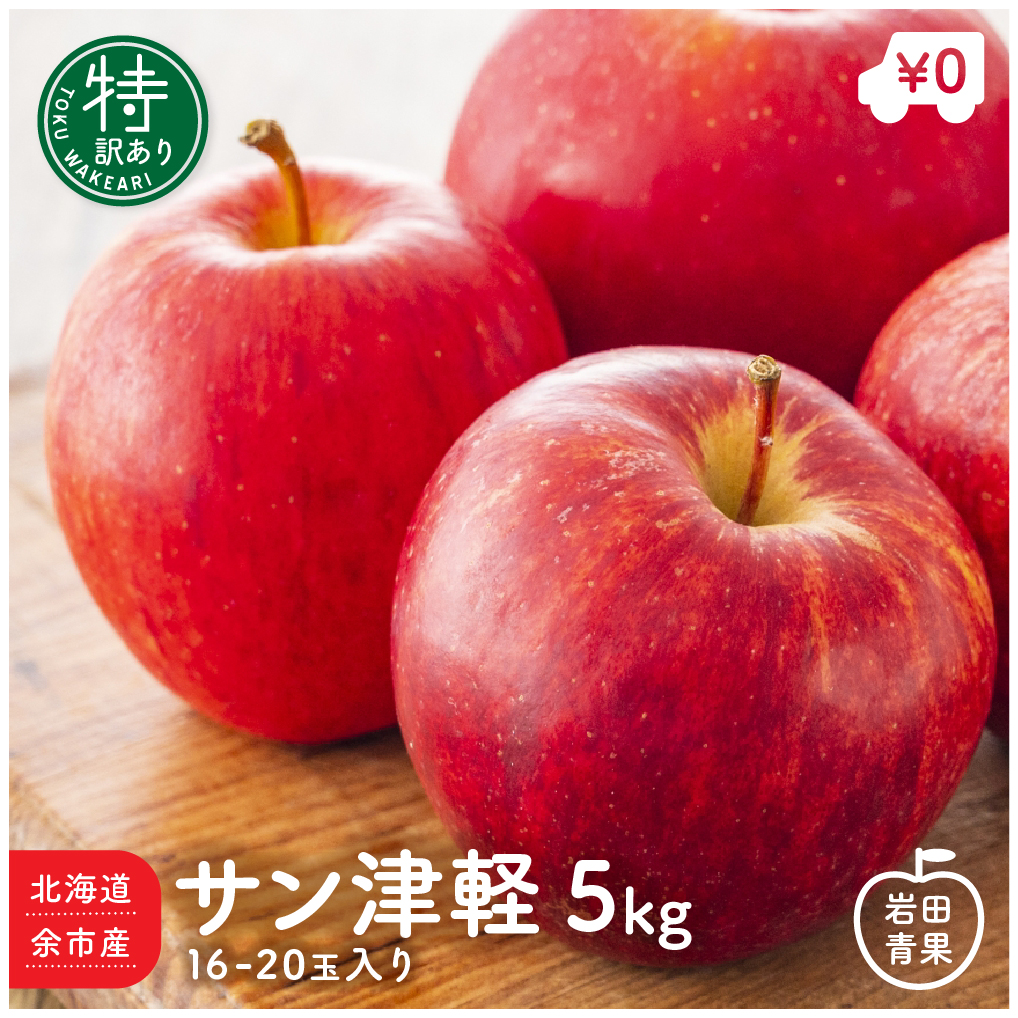 青森県産　りんご　つがる訳あり　5kg  20個