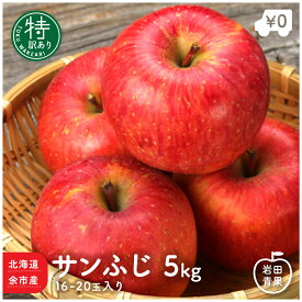 北海道 余市産 特 訳あり サンふじ 5kg 16～20玉前後 りんご リンゴ さんふじ ふじ サンフジ 北海道産 国産 果物 お取り寄せ 旬の果物 くだもの 旬 フルーツ 詰め合わせ