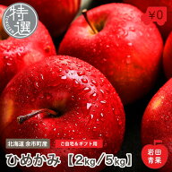 【予約販売】 ひめかみ 特選 2kg 5kg 北海道 余市産 りんご リンゴ 林檎 国産 北海道 北海道産 余市 ヒメ…